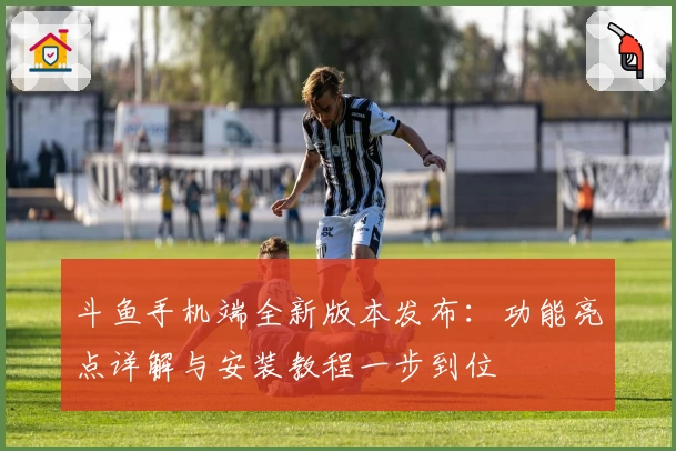 斗鱼手机端全新版本发布：功能亮点详解与安装教程一步到位