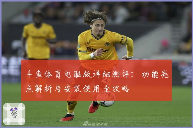 斗鱼体育电脑版详细测评：功能亮点解析与安装使用全攻略