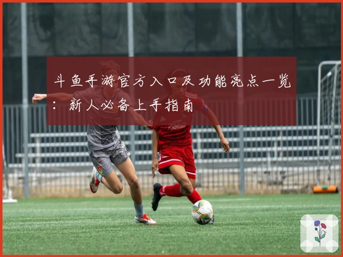 斗鱼手游官方入口及功能亮点一览:新人必备上手指南