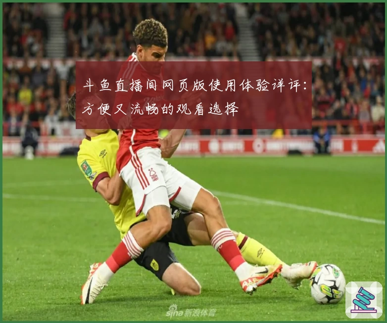 斗鱼直播间网页版使用体验详评：方便又流畅的观看选择