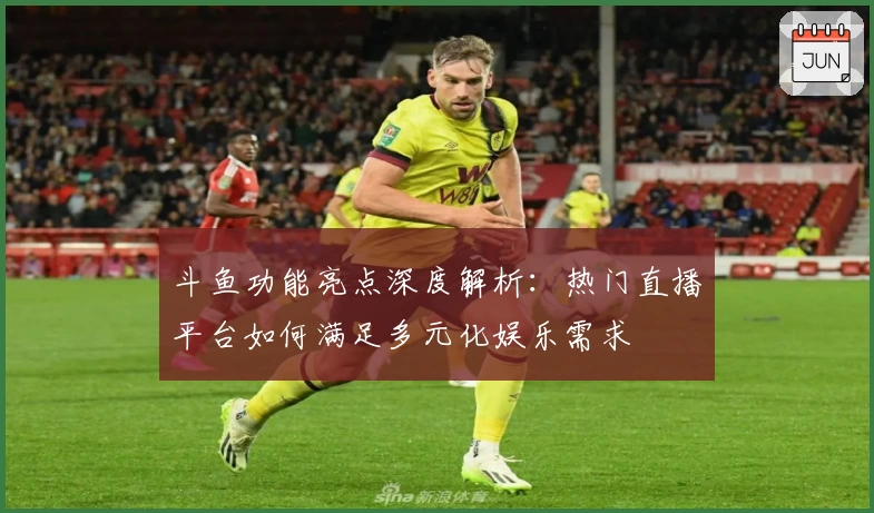 斗鱼功能亮点深度解析：热门直播平台如何满足多元化娱乐需求