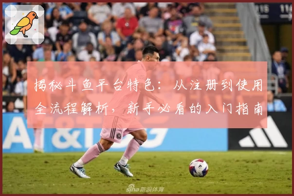 揭秘斗鱼平台特色:从注册到使用全流程解析,新手必看的入门指南