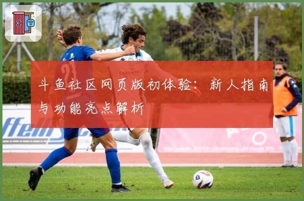 斗鱼社区网页版初体验：新人指南与功能亮点解析