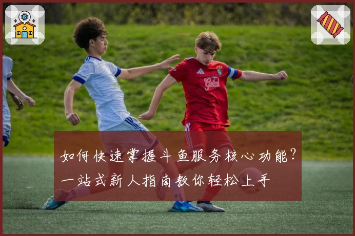 如何快速掌握斗鱼服务核心功能？一站式新人指南教你轻松上手