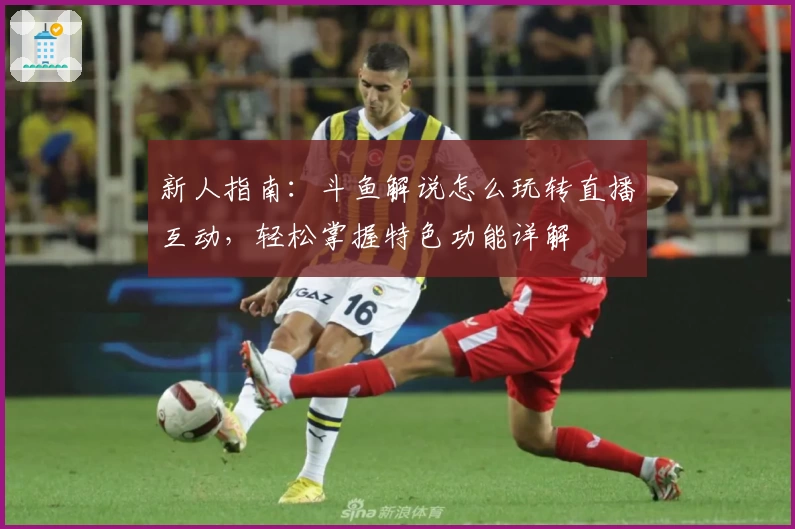 新人指南：斗鱼解说怎么玩转直播互动，轻松掌握特色功能详解
